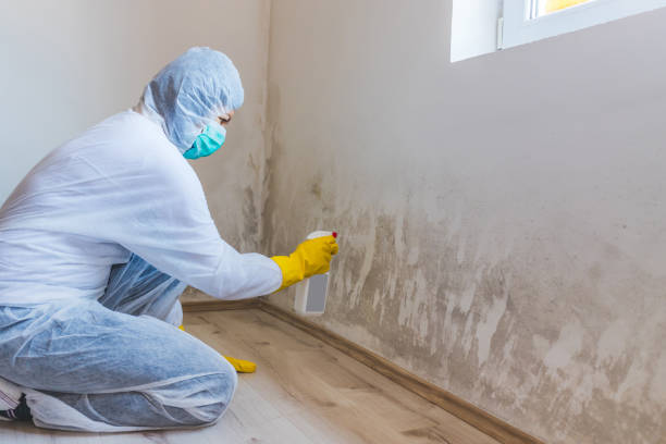 Mold Remediation specialist working in Boxborough